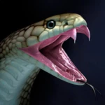 Logo of Snake Wallpapers android Application 