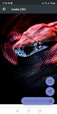 Snake Wallpapers android App screenshot 2