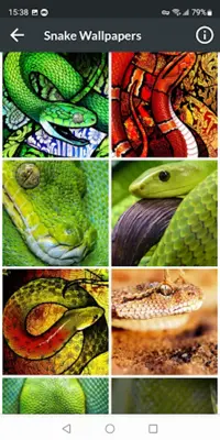 Snake Wallpapers android App screenshot 3