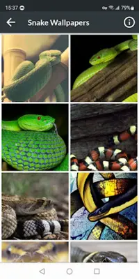 Snake Wallpapers android App screenshot 5